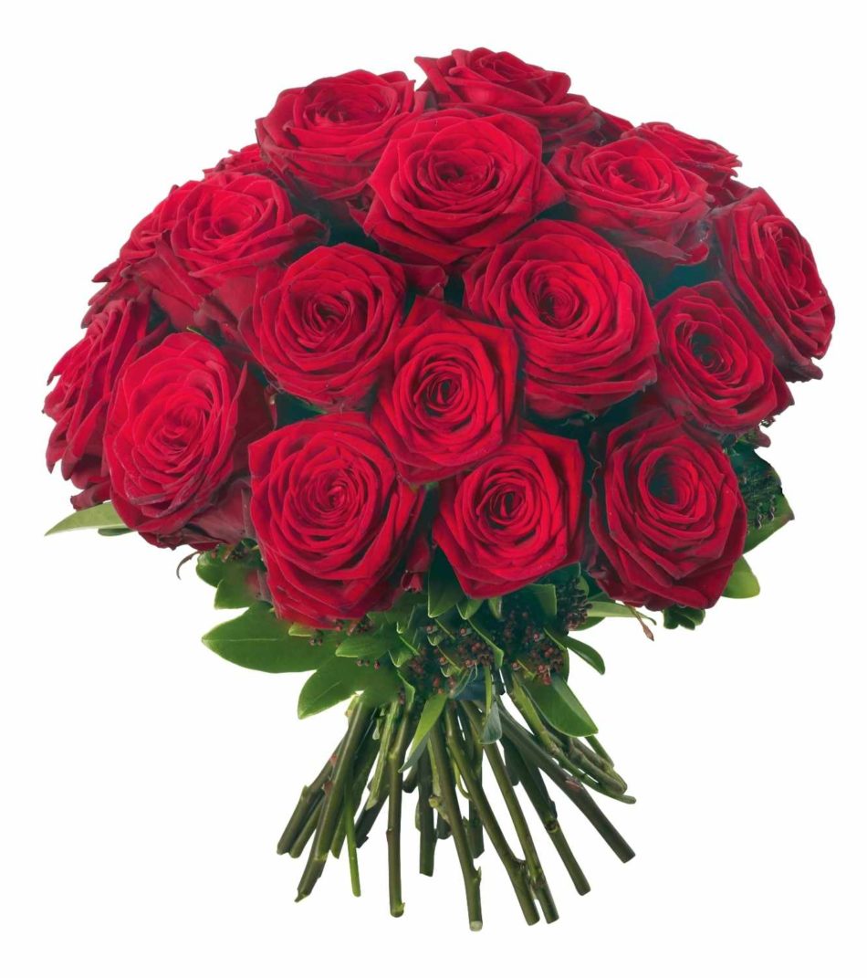 Bouquet de rose rouge